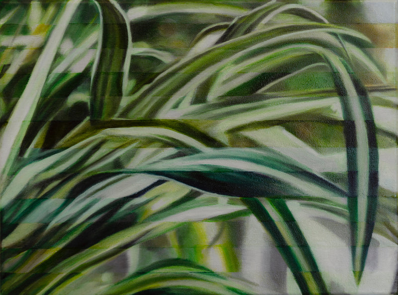 Enda O'Donoghue Painting Spider Plant - Enda O'Donoghue Painting Spider Plant - 5 Pieces Gallery - Contemporary Art & Photography