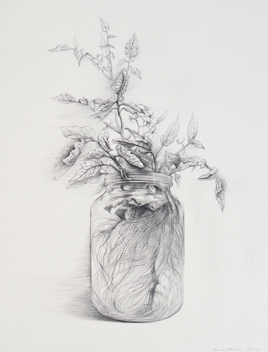 Marta Czene Works on paper My Father's Raising - Marta Czene Works on paper My Father's Raising - 5 Pieces Gallery - Contemporary Art & Photography