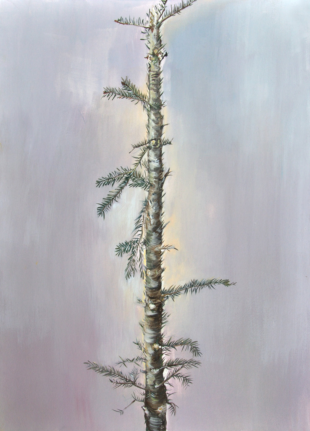 Helga Gasser Works on paper Stamm 2 - Helga Gasser Works on paper Stamm 2 - 5 Pieces Gallery - Contemporary Art & Photography